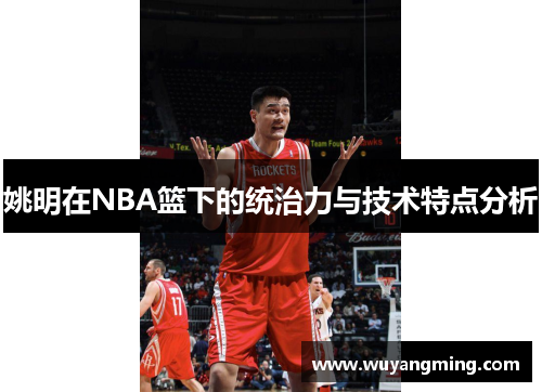 姚明在NBA篮下的统治力与技术特点分析 姚明在NBA篮下的统治力与技术特点分析