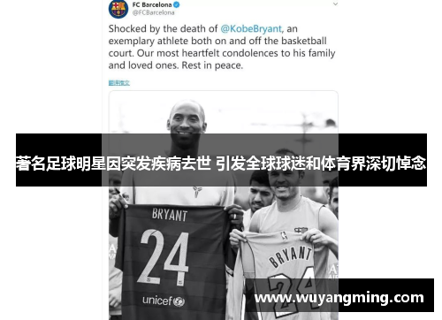 著名足球明星因突发疾病去世 引发全球球迷和体育界深切悼念 著名足球明星因突发疾病去世 引发全球球迷和体育界深切悼念