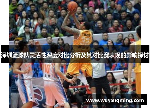 深圳篮球队灵活性深度对比分析及其对比赛表现的影响探讨