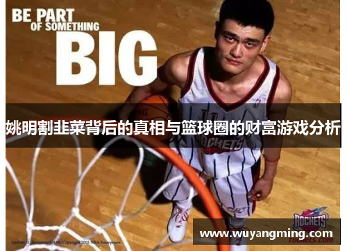 姚明割韭菜背后的真相与篮球圈的财富游戏分析