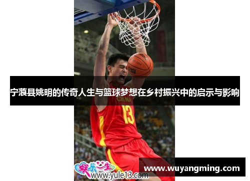 宁蒗县姚明的传奇人生与篮球梦想在乡村振兴中的启示与影响
